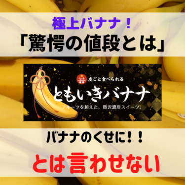 【バナナ新記録】極上フルーツ「ともいきバナナ」その値段に驚愕！その魅力や販売店は？